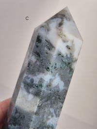 Image 6 of Larger Moss Towers