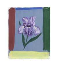 color-block purple iris (8x10)
