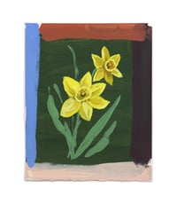 color-block yellow daffodils (8x10)