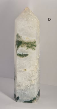 Image 7 of Larger Moss Towers