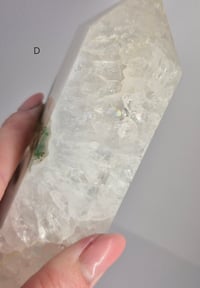 Image 9 of Larger Moss Towers