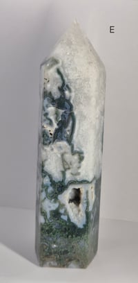 Image 10 of Larger Moss Towers