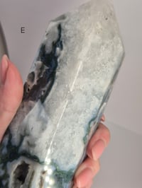 Image 11 of Larger Moss Towers