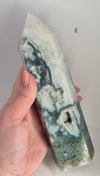 Image 12 of Larger Moss Towers