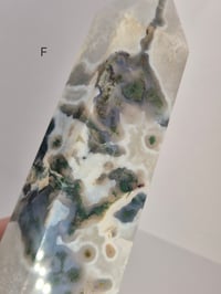 Image 15 of Larger Moss Towers