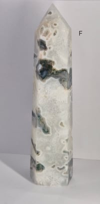 Image 13 of Larger Moss Towers