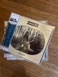 **NEW OLD STOCK - Volume III - Hell's Likely CD (Japan release)