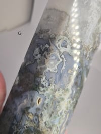 Image 16 of Larger Moss Towers