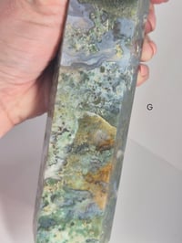 Image 18 of Larger Moss Towers