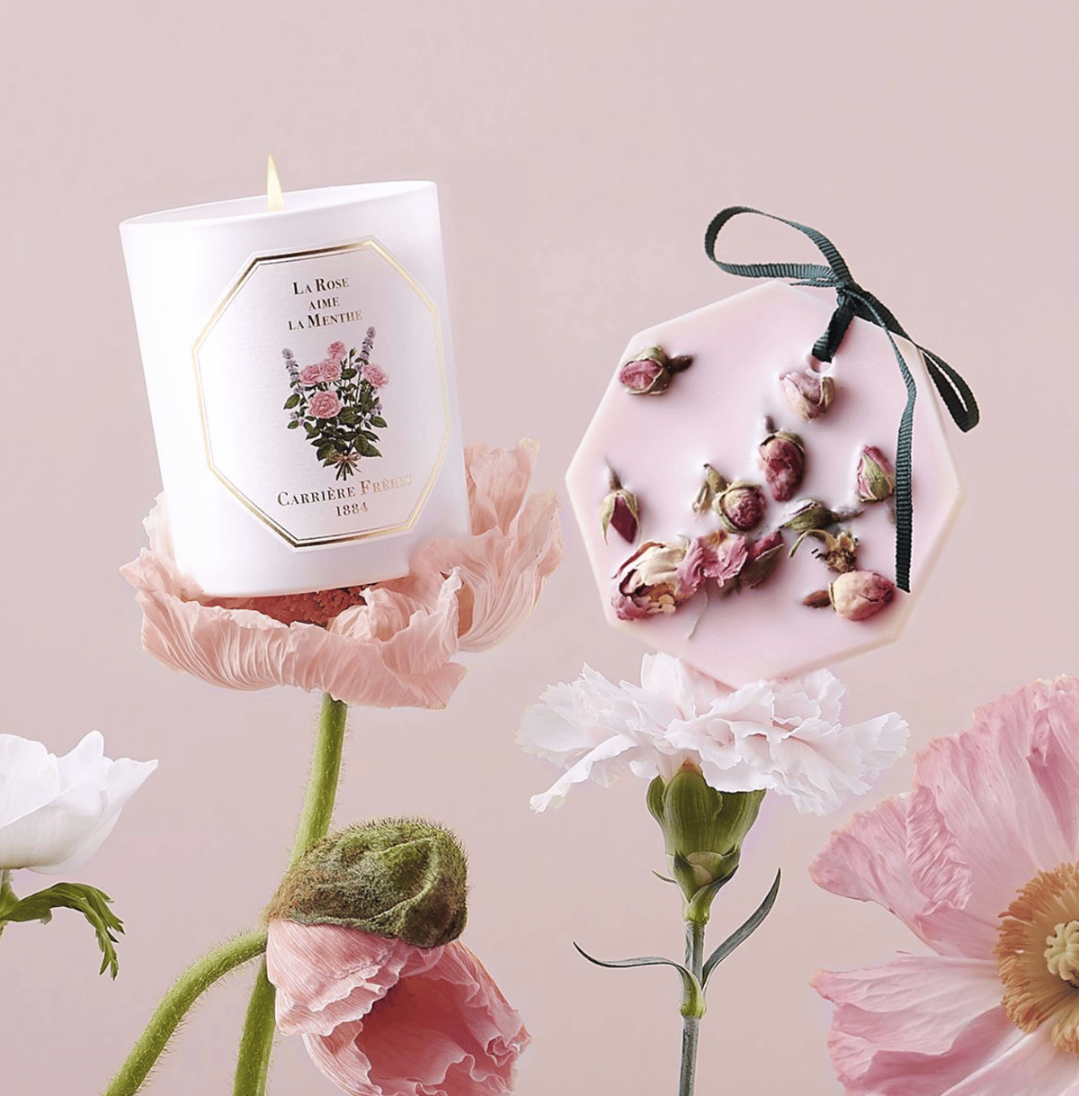 Image of La Rose Aime La Menthe (Candle and or Wax Palet)