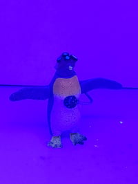 Image 3 of Penguin Drone