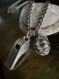 Image 4 of Slow and Steady 