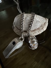 Image 5 of Slow and Steady 