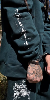 Image 12 of Mentally Disturbed Penitentiary "GREENS"