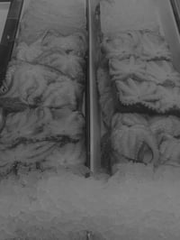 (yumi)(no)(MONOGURUI)(ii):(00-UEGHURAMA)(digital copy)(ii)