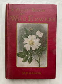 Image 1 of A first Book of Wild Flowers Margaret Rankin