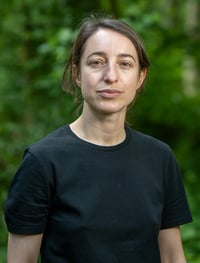 Image 4 of Midnight Picnics in Tehran by Leilah Jane King