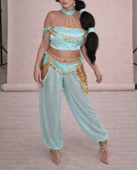 Image 1 of Arabian Princess Cosplay Costume