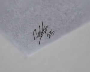 Image of Shane Lowry - (Original Drawing)