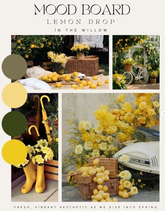 Image of LEMON DROP @ THE WILLOW 04/11