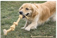 Image 4 of Juguete Rope Nudo Resistente con Madera Natural