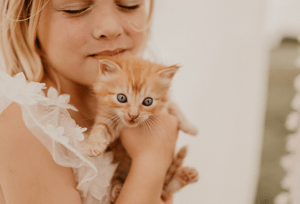 Image of Easter/Farm Minis (deposit)