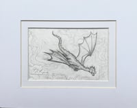 Image 1 of ‘A Study of Ignis in Full Flight’