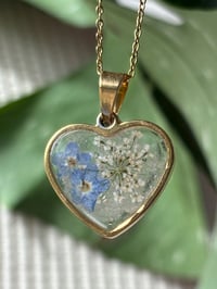 Image 2 of Forget-Me-Not