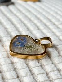 Image 4 of Forget-Me-Not