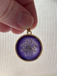 Image 2 of Quiet Bloom