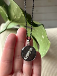 Image 2 of Midnight Hold