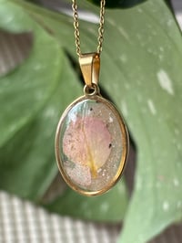 Image 2 of Ever Bloom