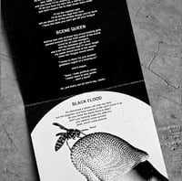 Image 4 of PUMP N DUMP 7"