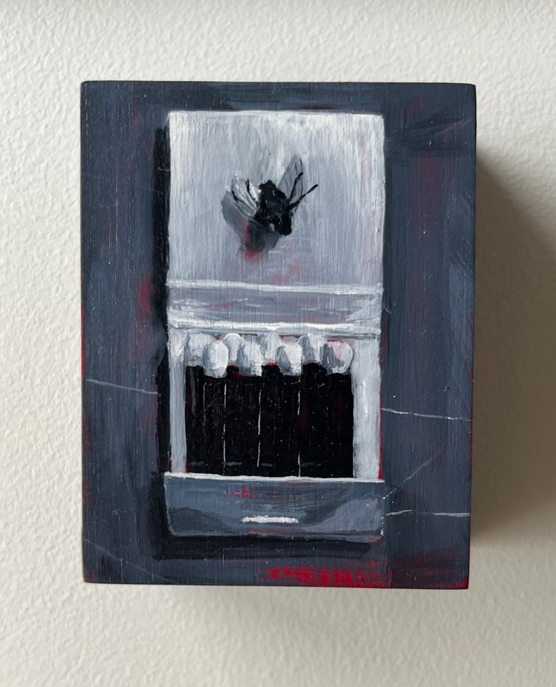 Image of MATCHES WITH DEAD FLY