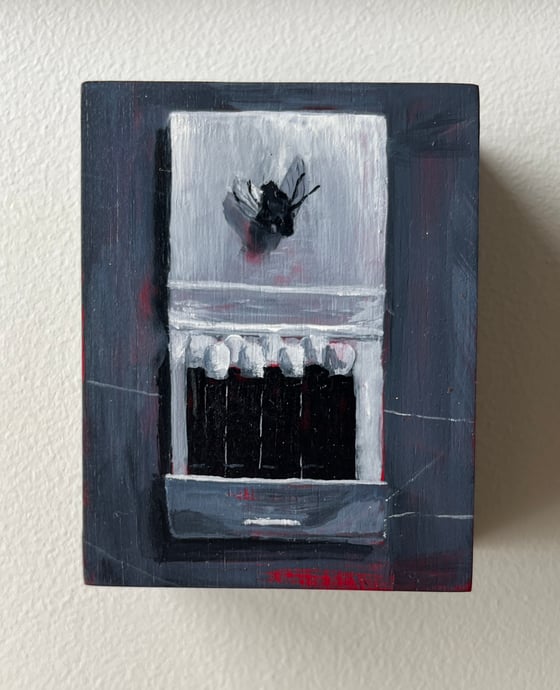 Image of MATCHES WITH DEAD FLY
