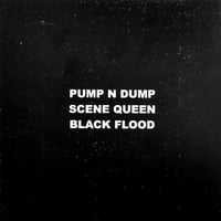 Image 3 of PUMP N DUMP 7"