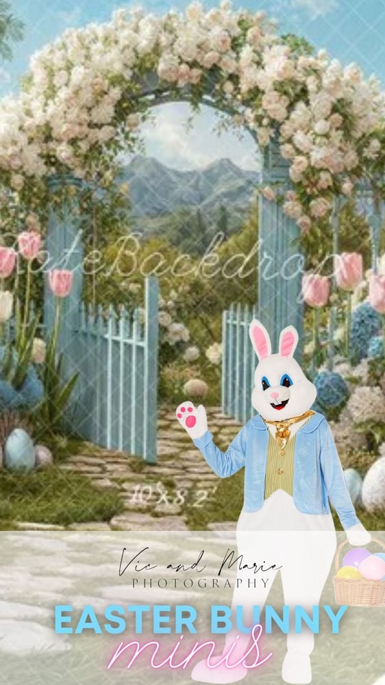 Image of Easter Bunny Minis MARCH 8TH
