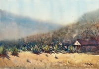 Image 1 of Afternoon Agave | 16"x22" 