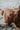 Highland Coos (Set of 3)