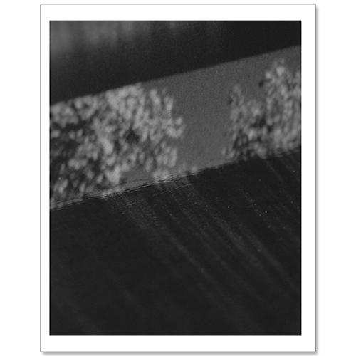 Image of PREORDER: Anastasia Davis - Letting Go