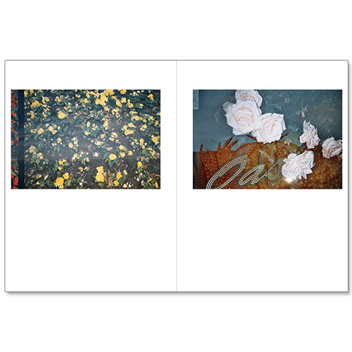 Image of PREORDER: Sam Telford - Oasis