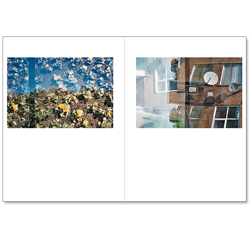 Image of PREORDER: Sam Telford - Oasis