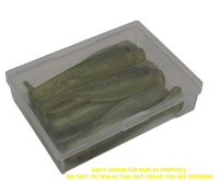 Image 3 of  3" Open Pour Swimbait (8 Pack) Dark Green with Green Shimmer Top Silver Sparkle Belly