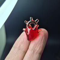 Image 1 of RUBY ANATOMICAL HEARTS