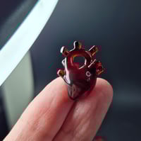 Image 2 of HALF BLOOD ANATOMICAL HEARTS