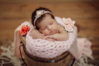 Image 1 of In Home Posed Newborn Session Retainer