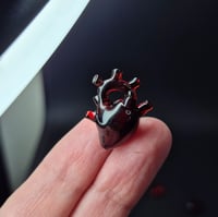 Image 1 of DRAGONS BLOOD ANATOMICAL HEARTS