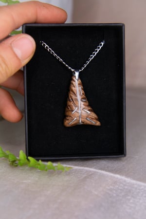 Image of ÁRBOL TORBELLINO