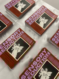 Image 2 of SENSORY SEDUCTION VOLUME 1: Modern Romance