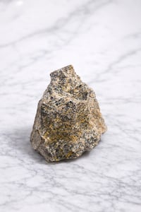 Image 2 of Dendrite Jasper Raw